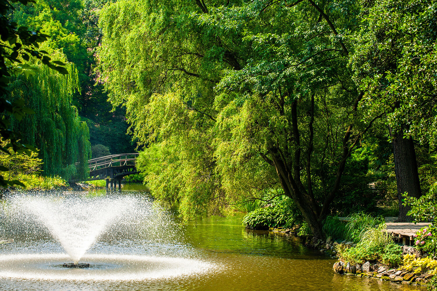 One of Otterbine's Aerating Fountains in a beautiful park