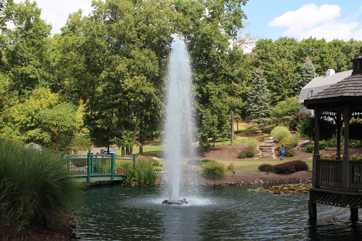 Otterbine's Comet Aerating Fountain