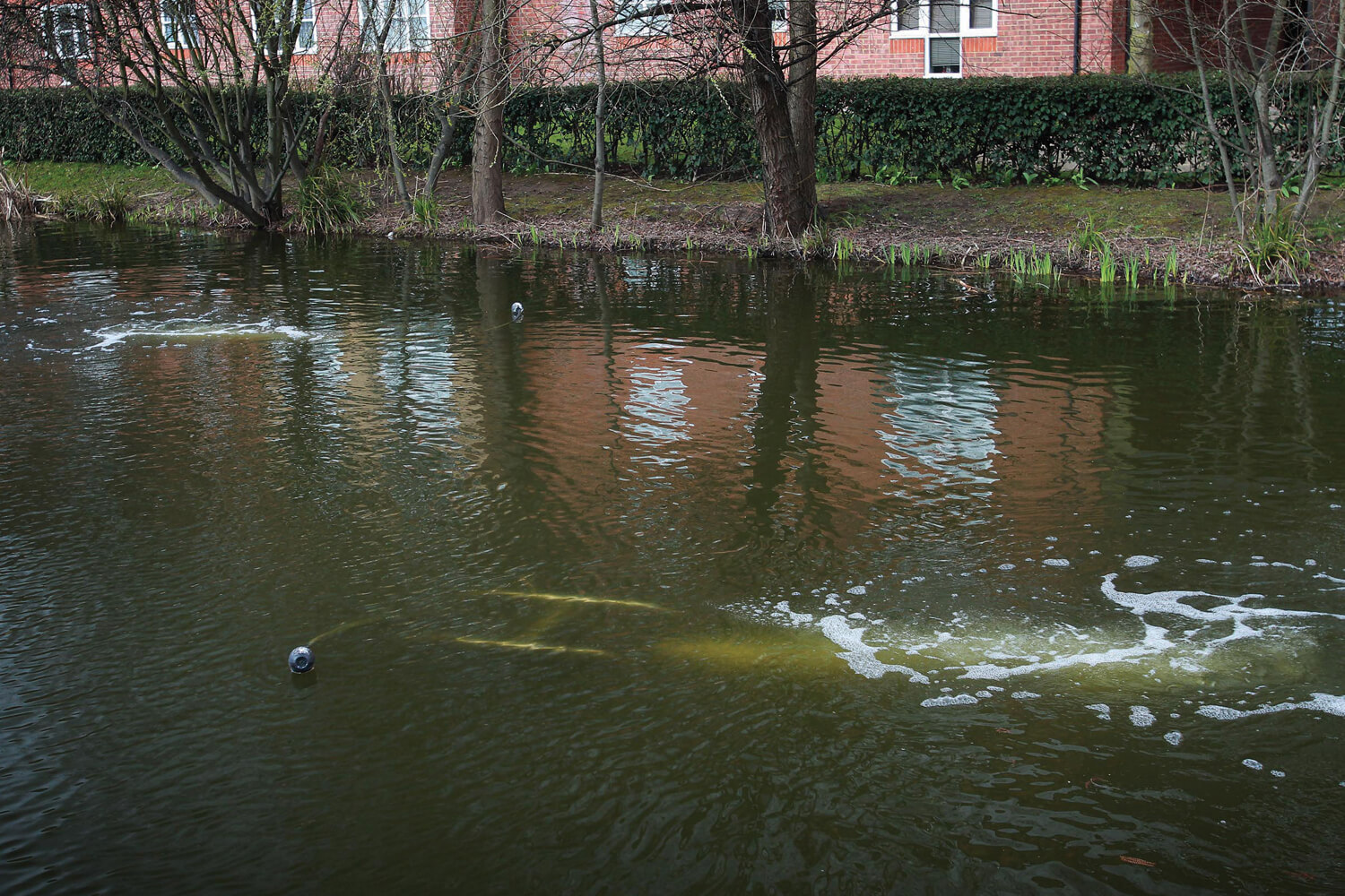 A shot of water before and after an aerator's installation