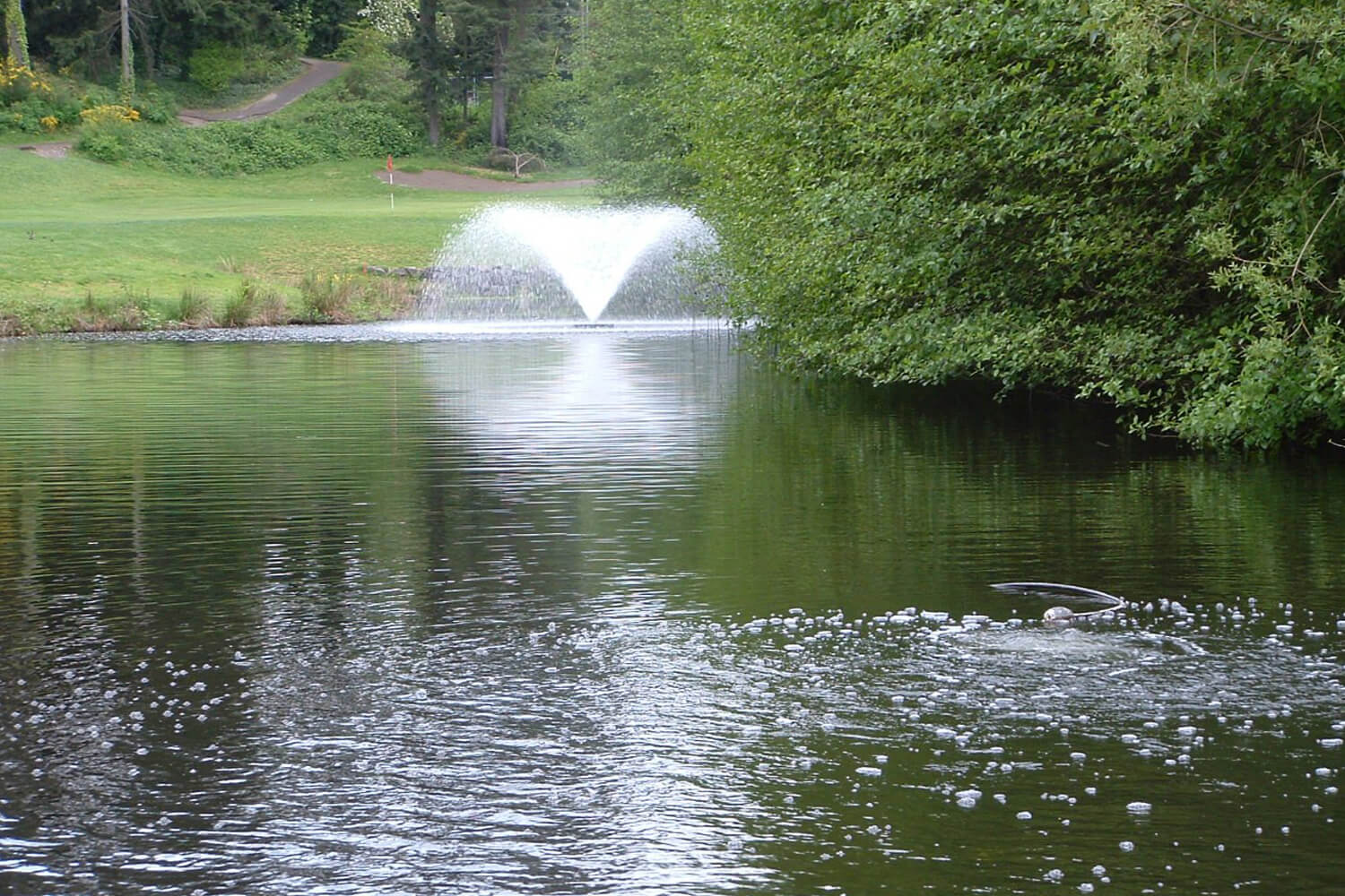 An Otterbine Industrial Pond Aerator