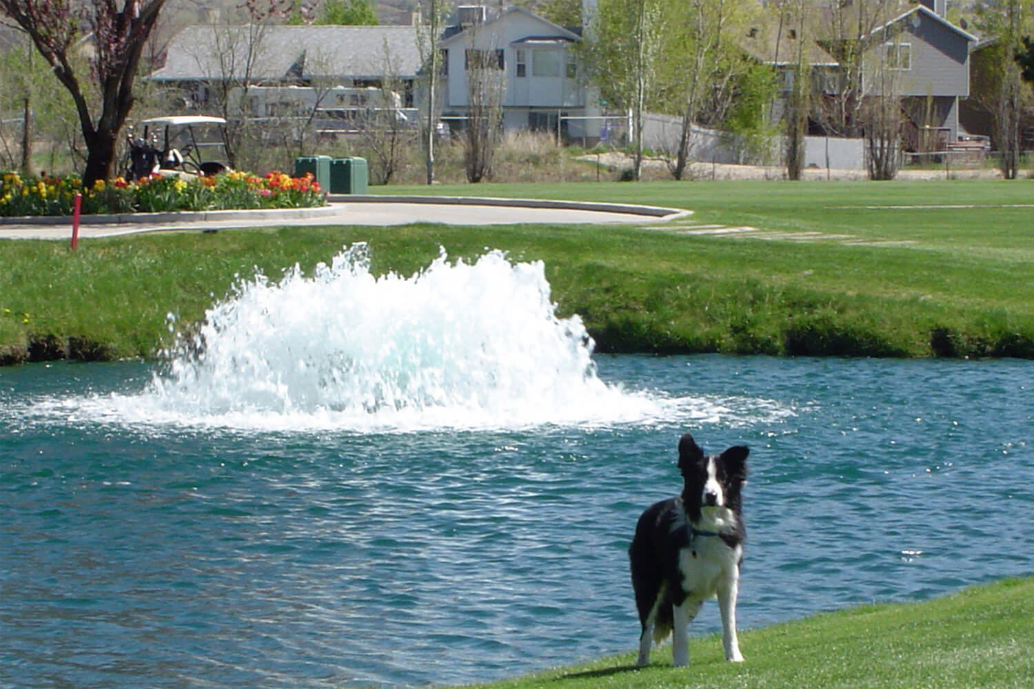 One of Otterbine's Industrial Pond Aerators