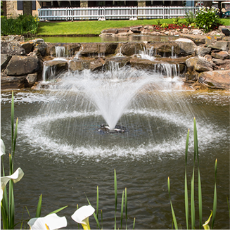 Fountain in a pond